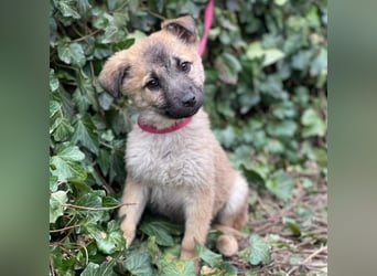 ELSA - ist bereit für ihr Abenteuer