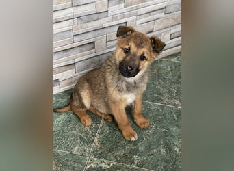 OTTO - Traumzuhause gesucht