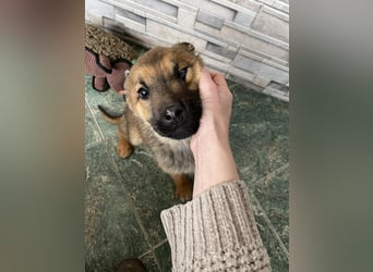 OTTO - Traumzuhause gesucht