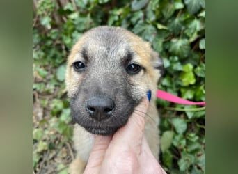 ELSA - ist bereit für ihr Abenteuer