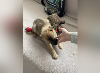 ELSA - ist bereit für ihr Abenteuer