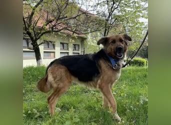 Paula ein lieber Schatz