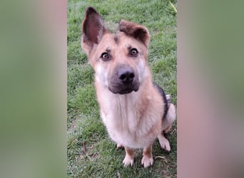 Lu - ein absoluter Notfall