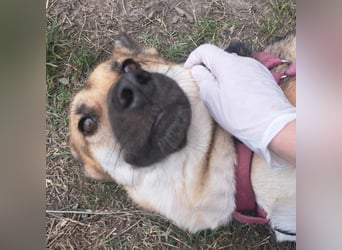 Lu - ein absoluter Notfall