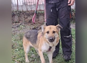 Lu - ein absoluter Notfall