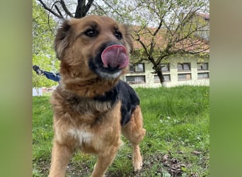 Paula ein lieber Schatz