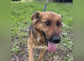 Paula ein lieber Schatz