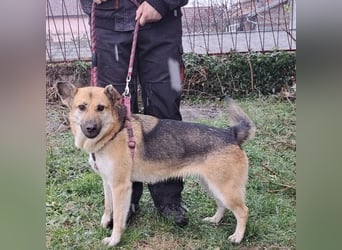 Lu - ein absoluter Notfall