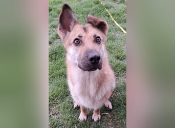 Lu - ein absoluter Notfall