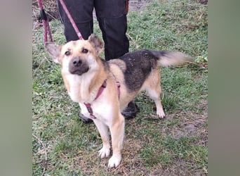 Lu - ein absoluter Notfall