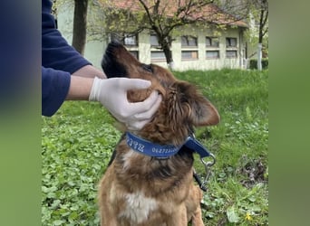 Paula ein lieber Schatz