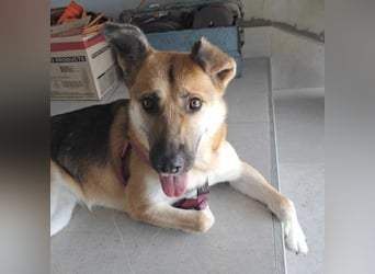 Lu - ein absoluter Notfall