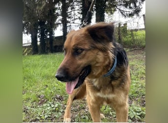 Paula ein lieber Schatz