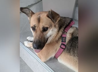 Lu - ein absoluter Notfall