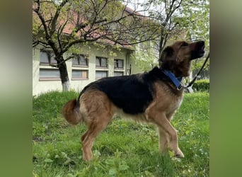 Paula ein lieber Schatz