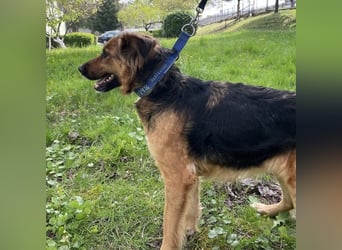 Paula ein lieber Schatz