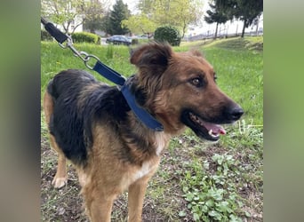 Paula ein lieber Schatz