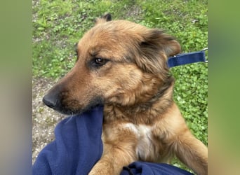 Paula ein lieber Schatz