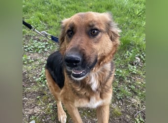 Paula ein lieber Schatz