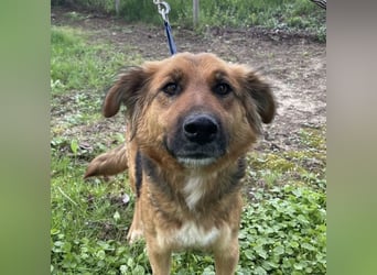 Paula ein lieber Schatz