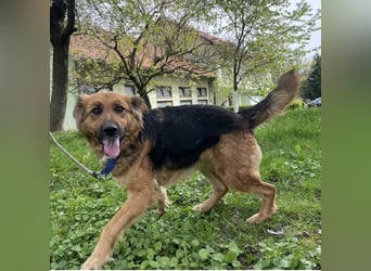 Paula ein lieber Schatz