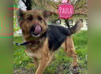 Paula ein lieber Schatz