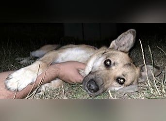 Lu - ein absoluter Notfall