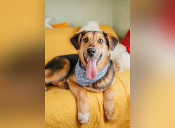 Junger Pluto sucht seine Menschen