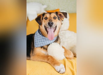 Junger Pluto sucht seine Menschen