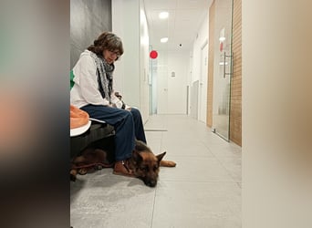 URSULA-zurückhaltende, ruhiges Mädchen will unbedingt ein liebevolles Für-immer-Zuhause