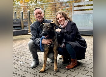 Pia braucht dringend ein neues Zuhause