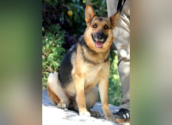 Lucy sucht ihr Für-Immer-Zuhause