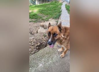 Boh - NOTFALL - Zurück im Leben