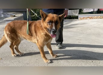 Boh - NOTFALL - Zurück im Leben