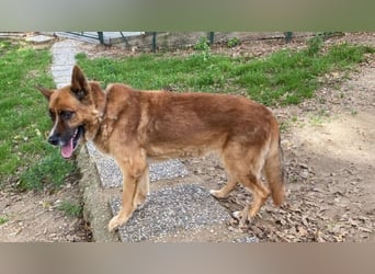 Boh - Notfall - Sanft. Stark. Echt