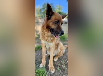 Boh - Notfall - Sanft. Stark. Echt