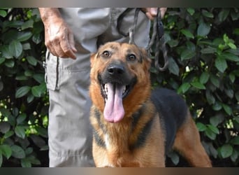 Benjard -SOS -  Der Mut der Verzweiflung