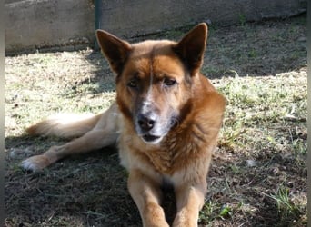 Boh - NOTFALL - Zurück im Leben