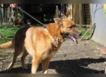 Boh - NOTFALL - Zurück im Leben