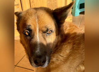 Boh - Notfall - Sanft. Stark. Echt