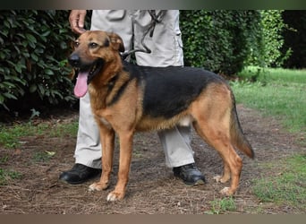 Benjard - NOTFALL- Der Mut der Verzweiflung