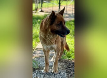 Boh - NOTFALL - Zurück im Leben