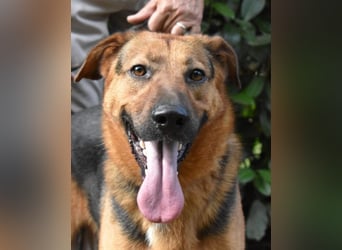 Benjard - NOTFALL- Der Mut der Verzweiflung