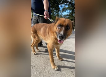 Boh - NOTFALL - Zurück im Leben