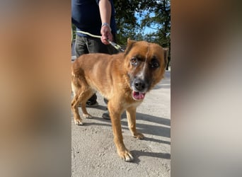 Boh - Notfall - Sanft. Stark. Echt