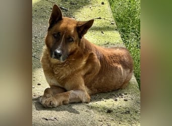 Boh - Notfall - Sanft. Stark. Echt