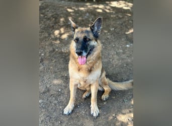 Regina - Ihre Majestät die Königin von Latio ...