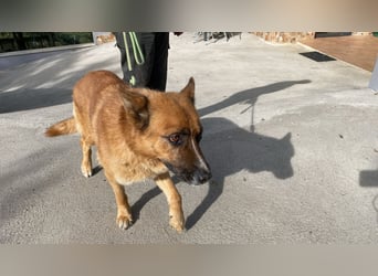 Boh - NOTFALL - Zurück im Leben