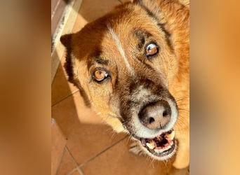 Boh - Notfall - Sanft. Stark. Echt