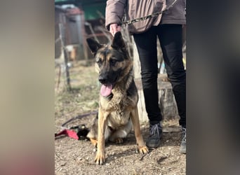 Endlich ankommen – das wünscht sich Szebra